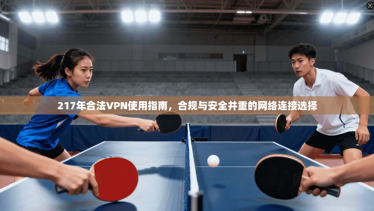 217年合法VPN使用指南，合规与安全并重的网络连接选择  第1张