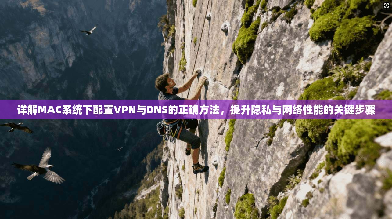 详解MAC系统下配置VPN与DNS的正确方法,提升隐私与网络性能的关键步骤 第1张 详解MAC系统下配置VPN与DNS的正确方法,提升隐私与网络性能的关键步骤 第1张