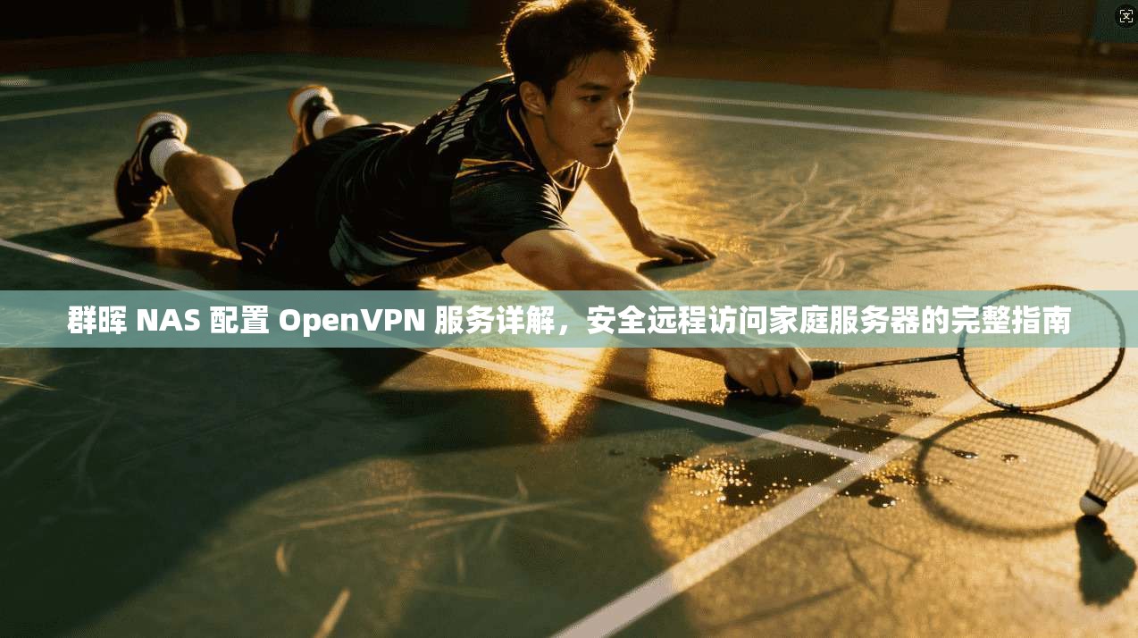 群晖 NAS 配置 OpenVPN 服务详解,安全远程访问家庭服务器的完整指南 第1张 群晖 NAS 配置 OpenVPN 服务详解,安全远程访问家庭服务器的完整指南 第1张