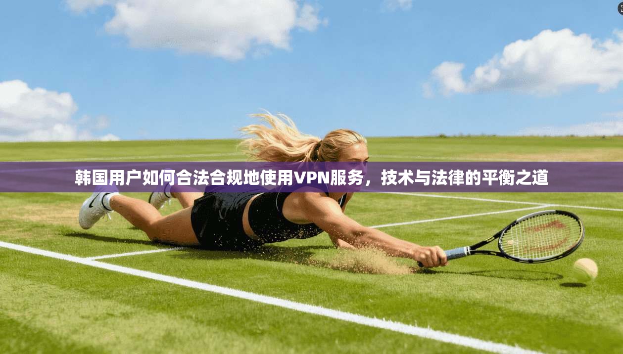 韩国用户如何合法合规地使用VPN服务,技术与法律的平衡之道 第1张 韩国用户如何合法合规地使用VPN服务,技术与法律的平衡之道 第1张