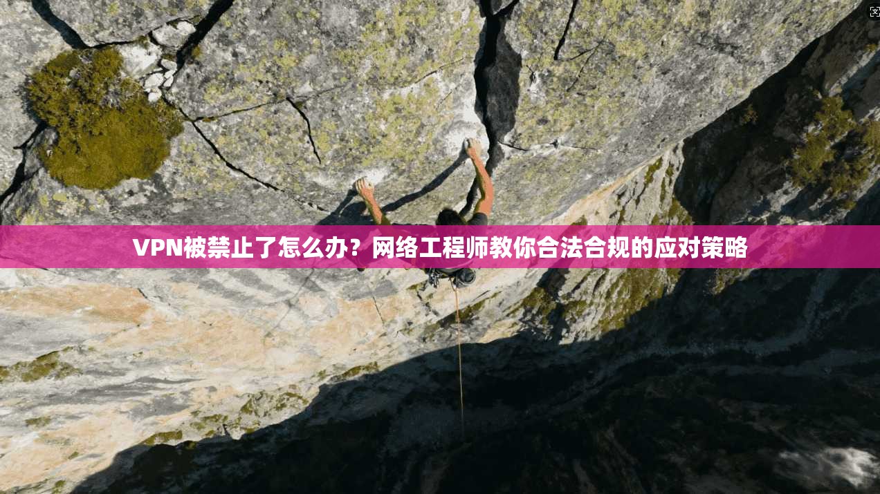 VPN被禁止了怎么办？网络工程师教你合法合规的应对策略  第1张