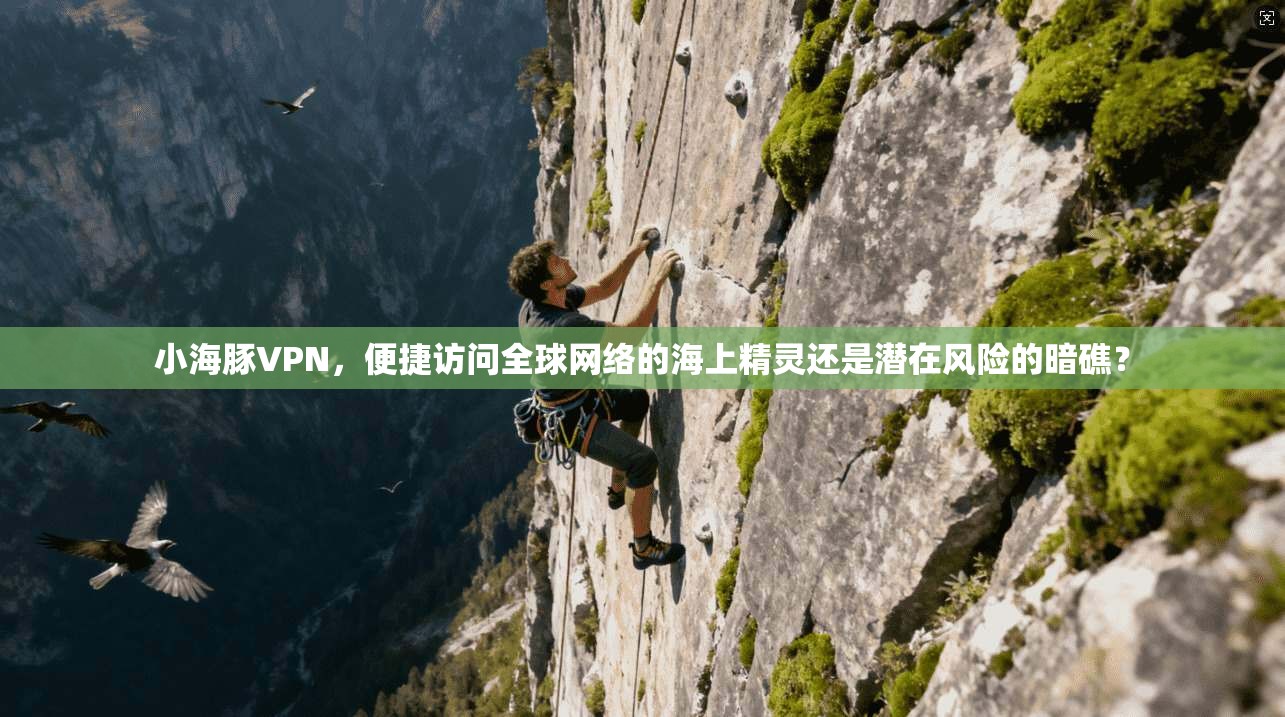 小海豚VPN，便捷访问全球网络的海上精灵还是潜在风险的暗礁？  第1张