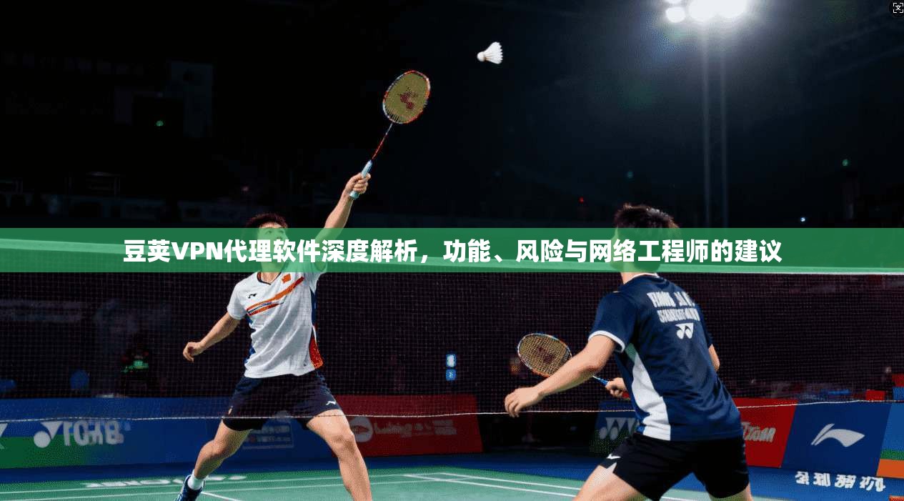 豆荚VPN代理软件深度解析，功能、风险与网络工程师的建议  第1张