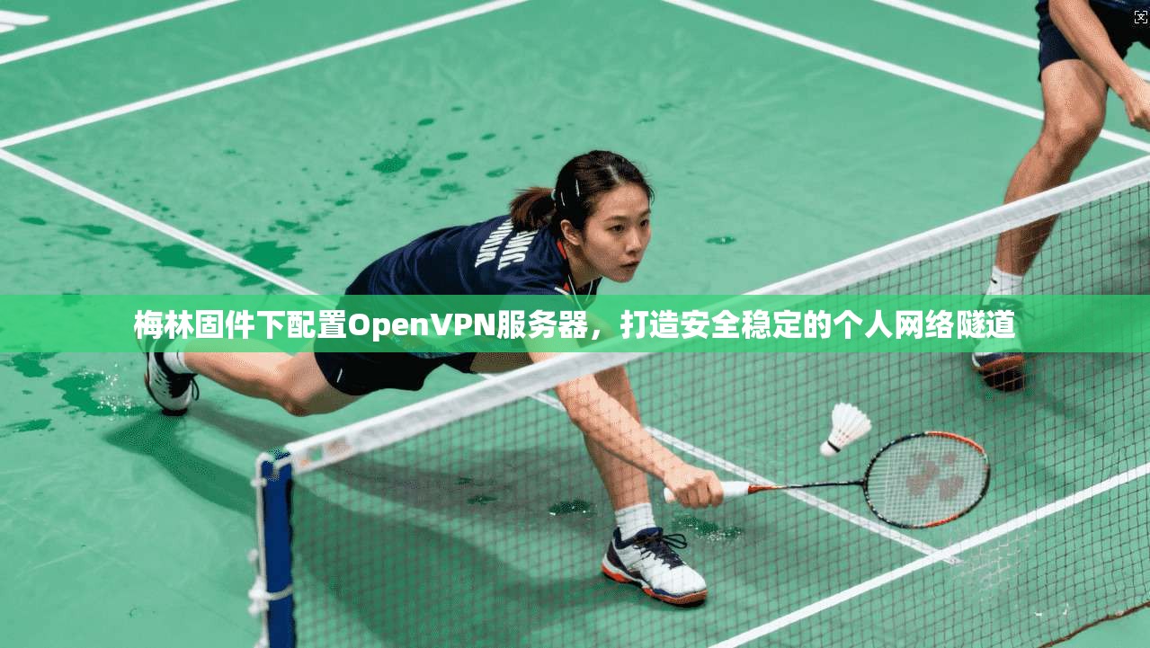 梅林固件下配置OpenVPN服务器，打造安全稳定的个人网络隧道  第1张