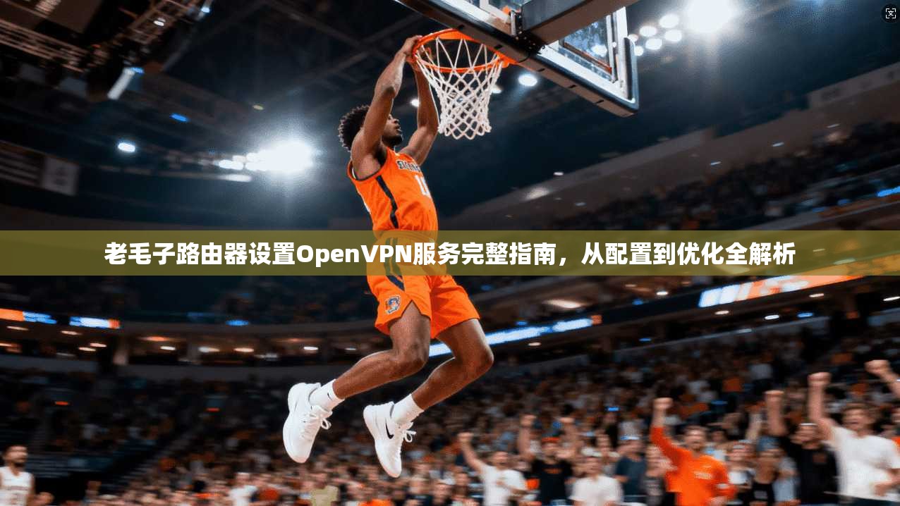 老毛子路由器设置OpenVPN服务完整指南，从配置到优化全解析  第1张
