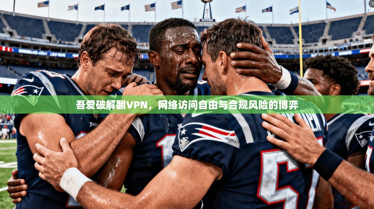 吾爱破解翻VPN，网络访问自由与合规风险的博弈  第1张