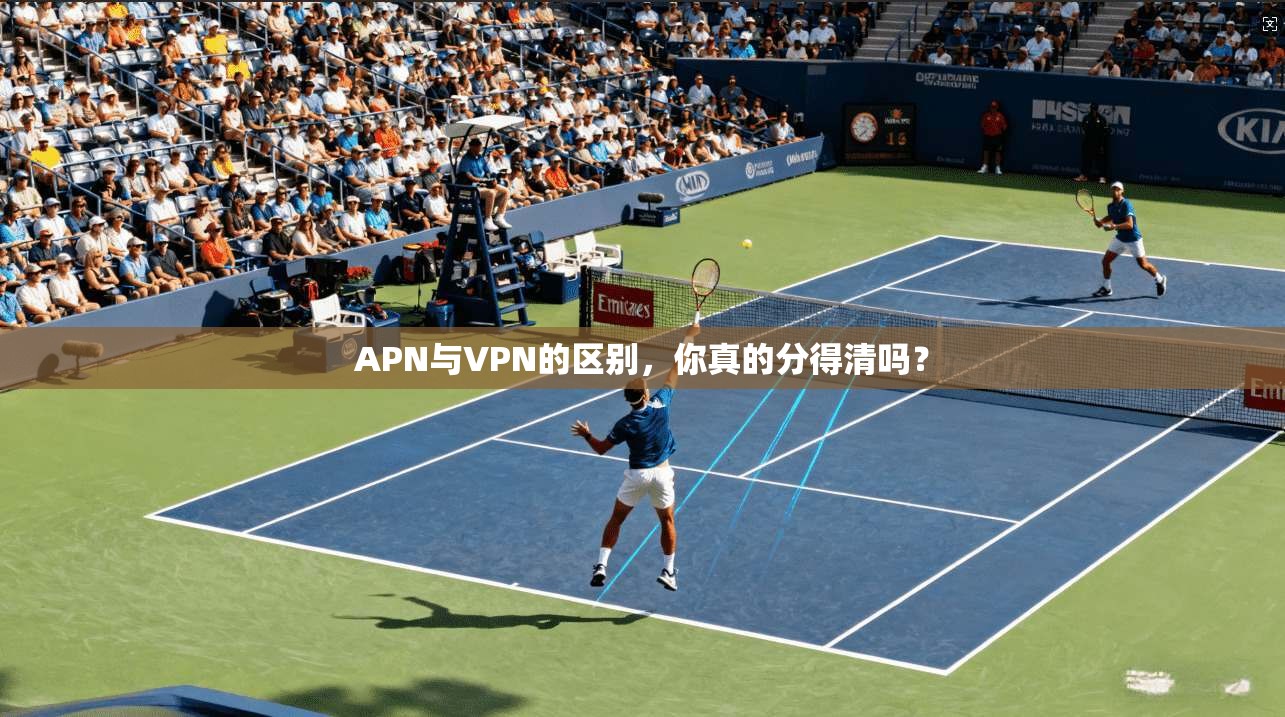 APN与VPN的区别,你真的分得清吗? 第1张 APN与VPN的区别,你真的分得清吗? 第1张