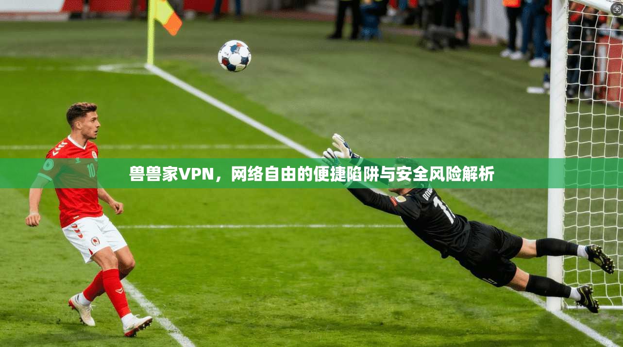 兽兽家VPN，网络自由的便捷陷阱与安全风险解析  第1张
