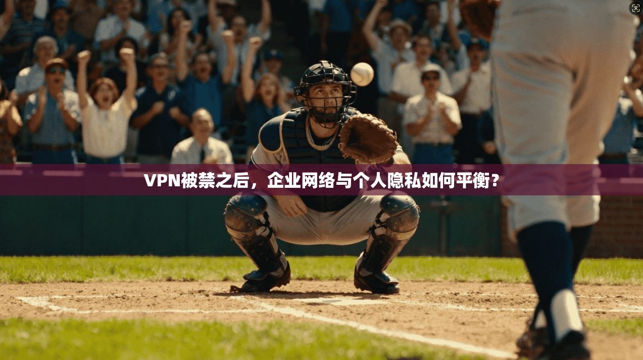 VPN被禁之后，企业网络与个人隐私如何平衡？  第1张