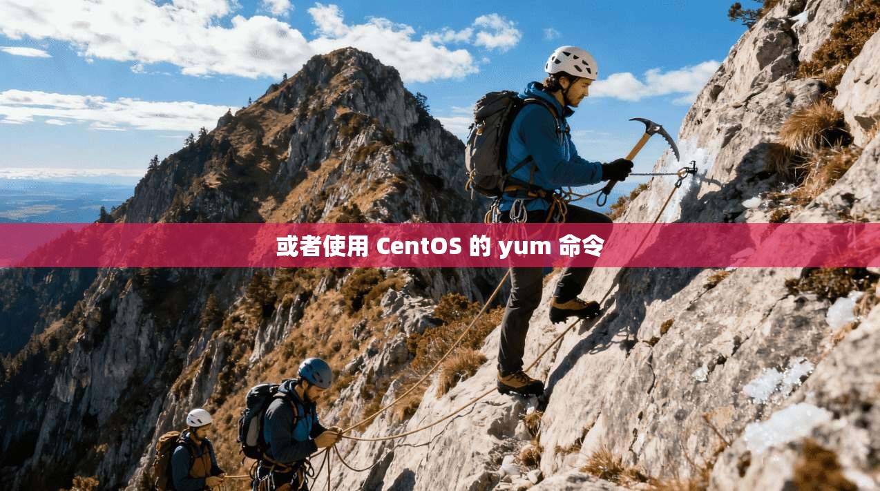 或者使用 CentOS 的 yum 命令  第1张