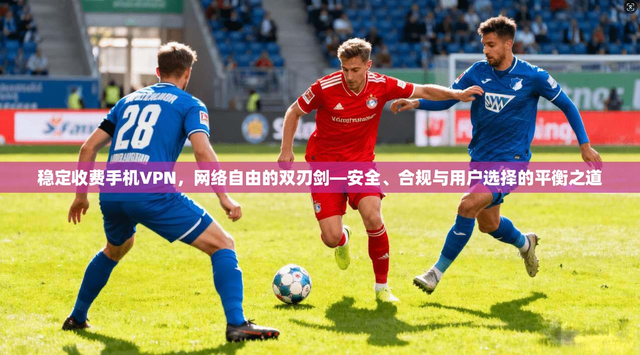 稳定收费手机VPN，网络自由的双刃剑—安全、合规与用户选择的平衡之道  第1张