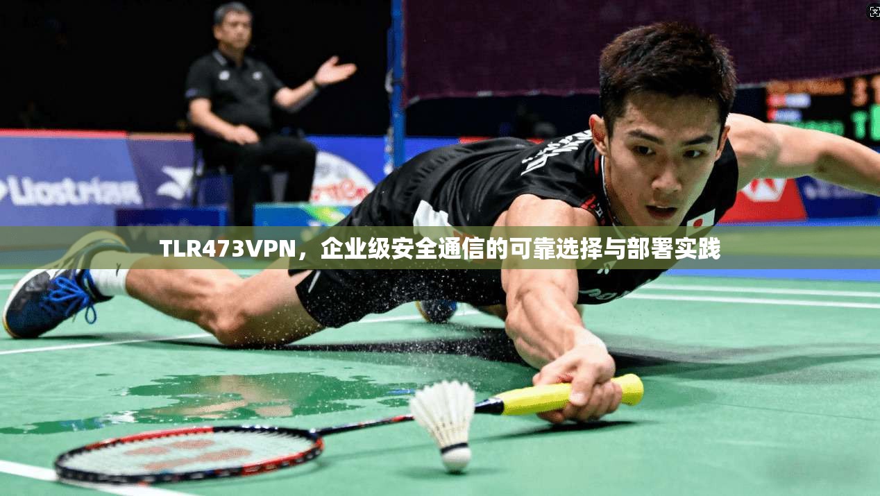 TLR473VPN，企业级安全通信的可靠选择与部署实践  第1张
