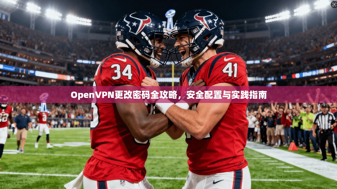 OpenVPN更改密码全攻略，安全配置与实践指南  第1张