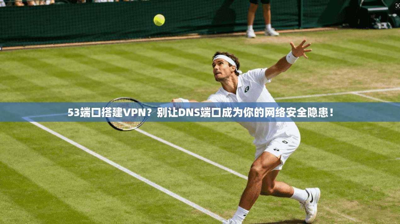 53端口搭建VPN？别让DNS端口成为你的网络安全隐患！  第1张