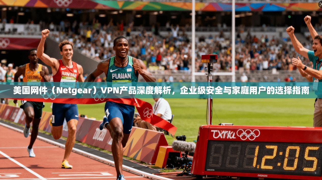美国网件（Netgear）VPN产品深度解析，企业级安全与家庭用户的选择指南  第1张